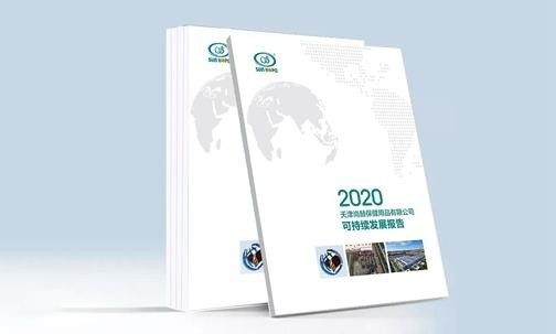 2020年10月28日，开云手机登录界面正式发布《2020可持续发展报告》