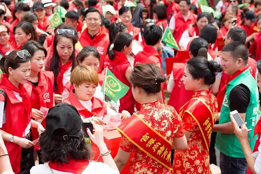 第81所 衢州市龙游县官潭福和开云手机登录界面万宝雪小学